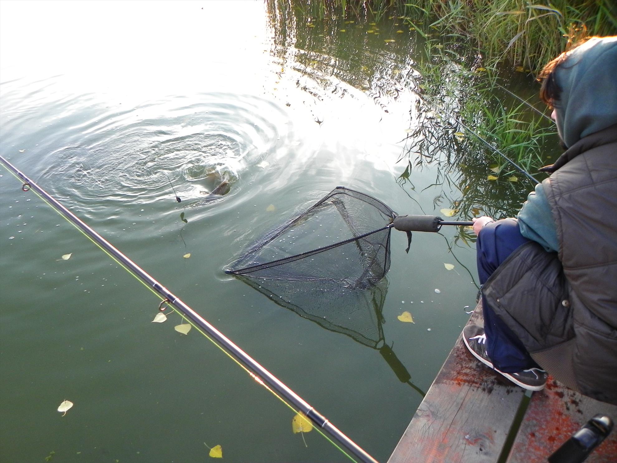 Pleasa 04-11-2012 - dscn3402.JPG